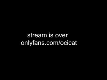 ocicat