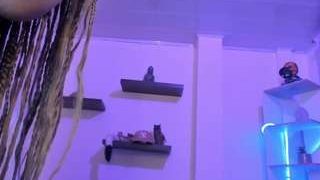 mia-kenner